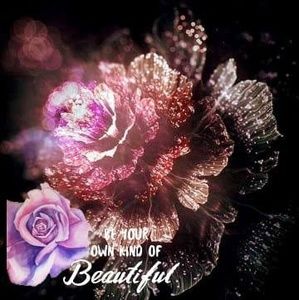 Meet your Posher, Ciottafe